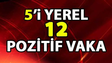 ozgur_gazete_kibris_vakalar_yuksek_seyrini_koruyor