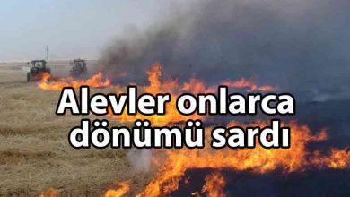 ozgur_gazete_kibris_Akıncılar'da_korkutan_yangın