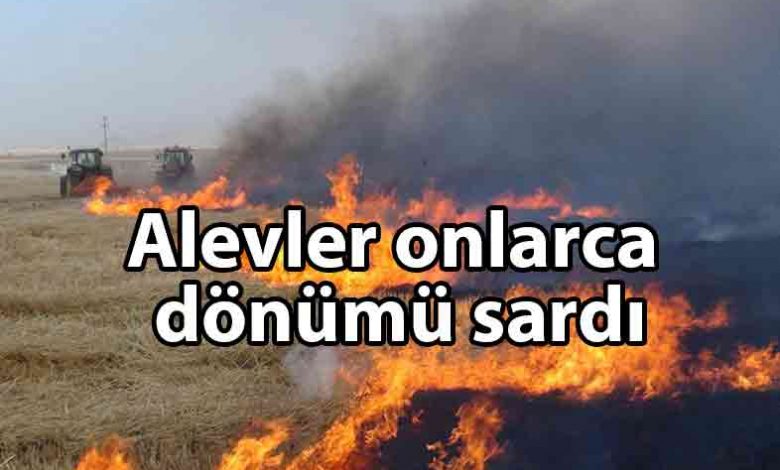 ozgur_gazete_kibris_Akıncılar'da_korkutan_yangın