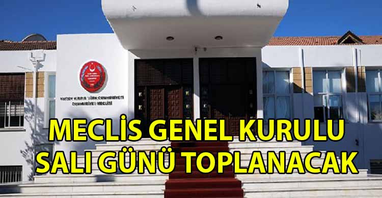 ozgur_gazete_kibris_Cumhuriyet_Meclisi_Genel_Kurulu_Sali_gunu-_toplanacak