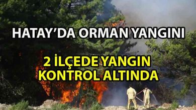 ozgur_gazete_kibris_Hatay'da_orman_yangını