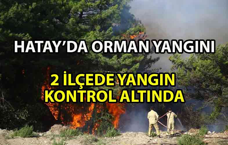 ozgur_gazete_kibris_Hatay'da_orman_yangını