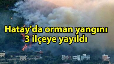ozgur_gazete_kibris_Hatay'da_orman_yangını