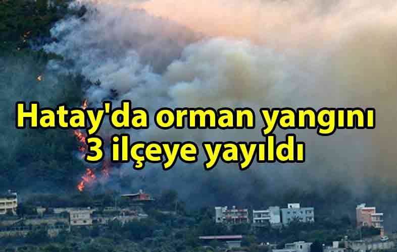 ozgur_gazete_kibris_Hatay'da_orman_yangını