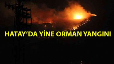 ozgur_gazete_kibris_Hatay'da_orman_yangını_sürüyor
