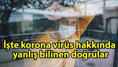 ozgur_gazete_kibris_Kovid_19_sinekten_bulaşır_mı_Tuzlu_su_korur_mu