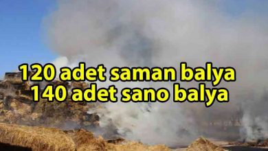 ozgur_gazete_kibris_Serdarlı'da_arazi_yangını