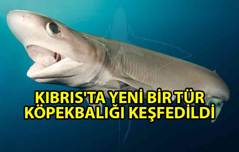 Site-manşet-ve-haberin-içindeki-foto-(3)