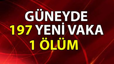 ozgur_gazete_kibris_Guneyde_1_Kovid_19_hastasi_daha_hayatini_kaybetti