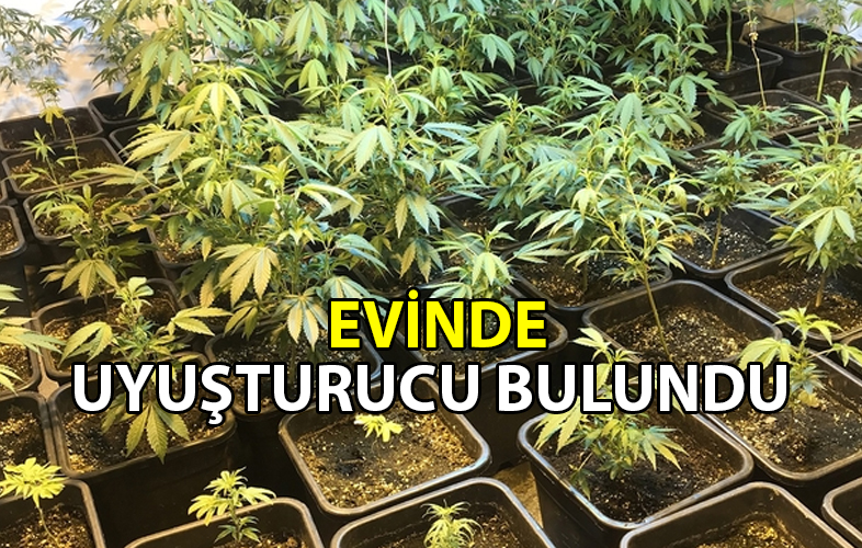 ozgur_gazete_kibris_evinde_uyusturucu_bulundu