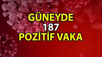 ozgur_gazete_kibris_guney_kibris_vaka