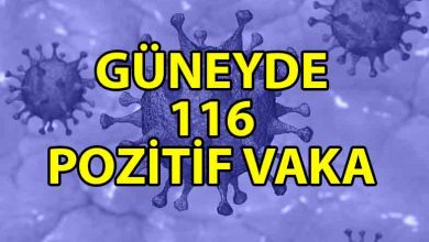 ozgur_gazete_kibris_guneyde_116_pozitif_vaka