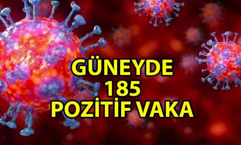 ozgur_gazete_kibris_guneyde_185_pozitif_vaka