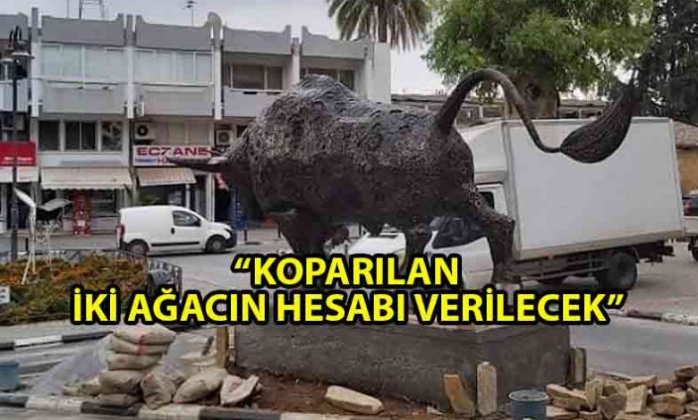 ozgur_gazete_kibris_harmanci_koparilan_iki_agacin_hesabi_verileek