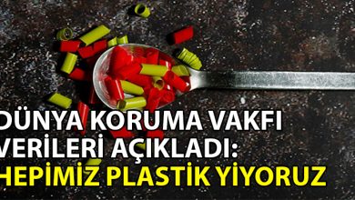 ozgur_gazete_kibris_İnsan_yilda_ne_kadar_plastik_yiyor10