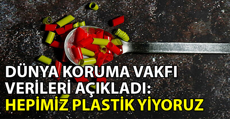 ozgur_gazete_kibris_İnsan_yilda_ne_kadar_plastik_yiyor10