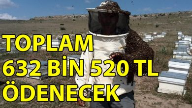 ozgur_gazete_kibris_2020_yili_Aricilik_Kovan_Basi_Destekleme_Odemesi_yapiliyor