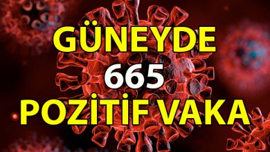 ozgur_gazete_kibris_Guneyde_2_kisi_daha_hayatini_kaybetti_