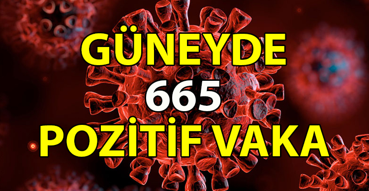 ozgur_gazete_kibris_Guneyde_2_kisi_daha_hayatini_kaybetti_