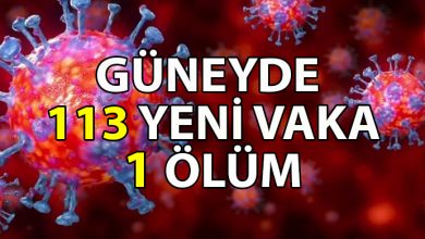 ozgur_gazete_kibris_29_Kovid_19_hastasindan_19_u_entube_edildi