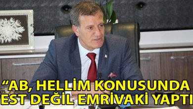 ozgur_gazete_kibris_Erhan_Arikli_hellim_konusu