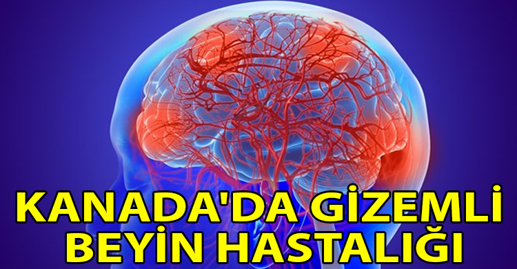 ozgur_gazete_kibris_5_kisi_hayatini_kaybetti