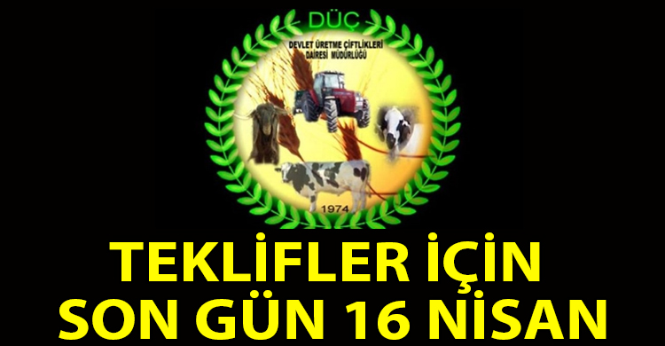 ozgur_gazete_kibris_teklifler_icin_son_gun_16_Nisan