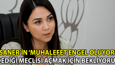 ozgur_gazete_kibris_aysegul_baybars_meclis