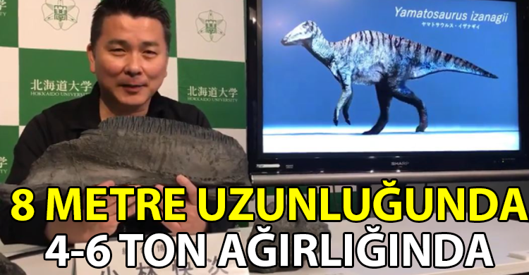 ozgur_gazete_kibris_japon_bilim_insanlari_dinozor
