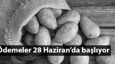 ozgur_gazete_kibris_tuk_patates_