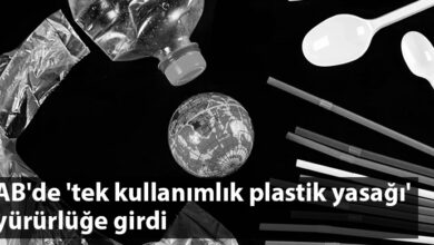 ozgur_gazete_kibris_AB_plastik_yasak