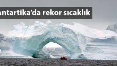 ozgur_gazete_kibris_Antartika_sicaklik