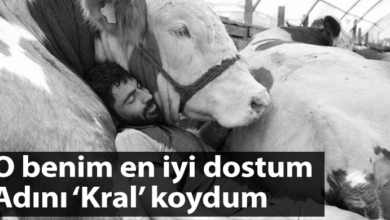 ozgur_gazete_kibris_erzurum_istanbul_bogasiyla_uyuyor