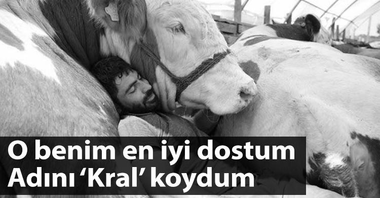 ozgur_gazete_kibris_erzurum_istanbul_bogasiyla_uyuyor