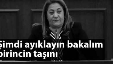 ozgur_gazete_kibris_gulsah_sanver_manavoglu_covid