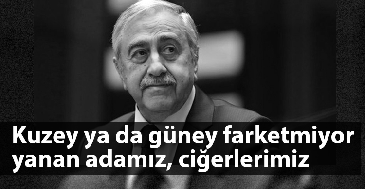 ozgur_gazete_kibris_guney_yangın_arapaka_mustafa_akinci