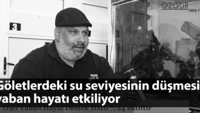 ozgur_gazete_kibris_kemal_basat_yaban_hayati