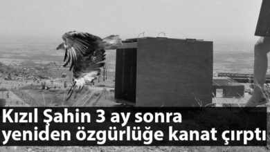 ozgur_gazete_kibris_kızılsahin_özgürlük
