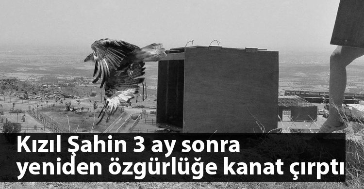 ozgur_gazete_kibris_kızılsahin_özgürlük