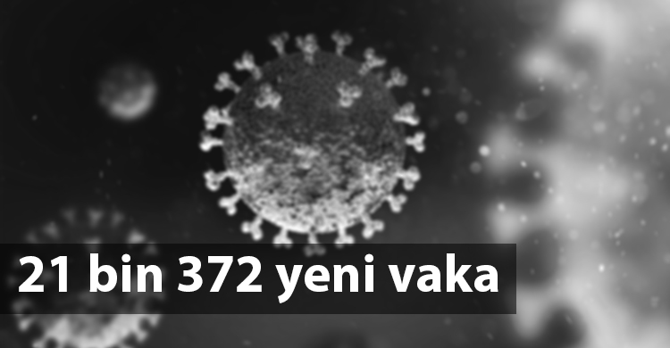 coronavirüs_turkiye