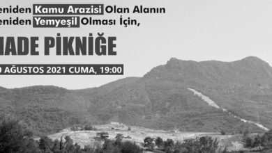 ozgur_gazete_kibris_PİKNİK
