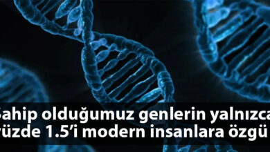 ozgur_gazete_kibris_bilim_genlerimiz_