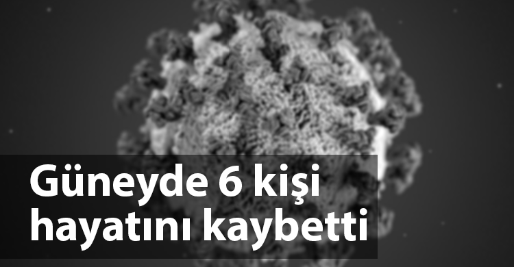 ozgur_gazete_kibris_coronavirüs_guney