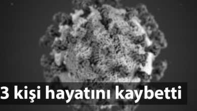 ozgur_gazete_kibris_coronavirüs_guney