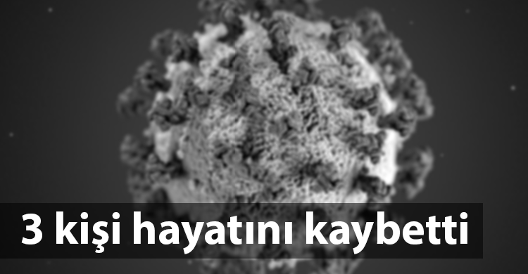 ozgur_gazete_kibris_coronavirüs_guney