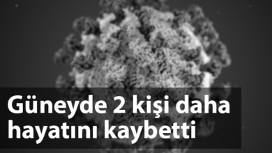ozgur_gazete_kibris_coronavirüs_guney