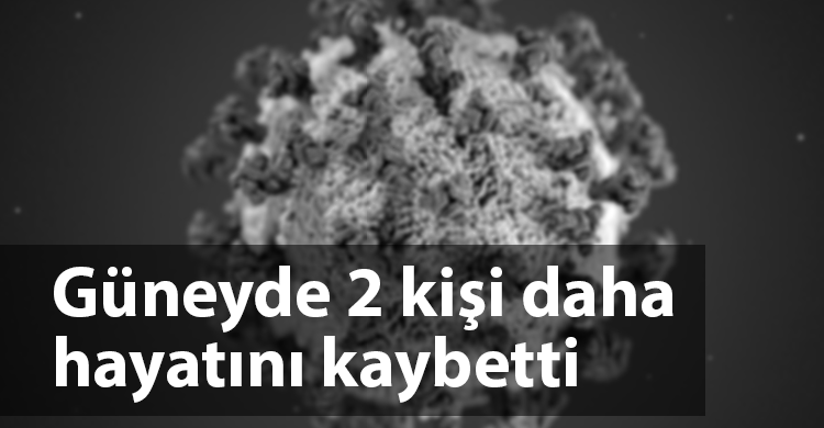 ozgur_gazete_kibris_coronavirüs_guney