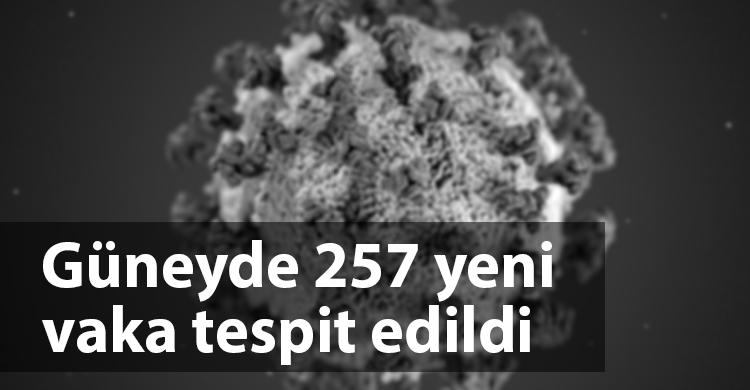 ozgur_gazete_kibris_coronavirüs_guney