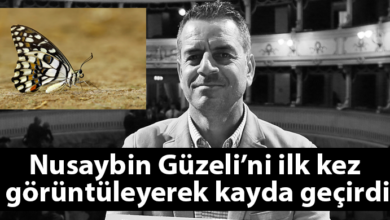 ozgur_gazete_kibris_hasan_baglar_kelebek_fotograf_nusaybin_guzeli