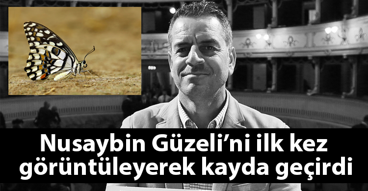 ozgur_gazete_kibris_hasan_baglar_kelebek_fotograf_nusaybin_guzeli